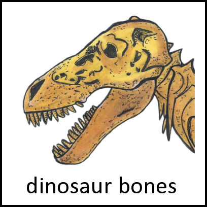 Dinosaur Bones