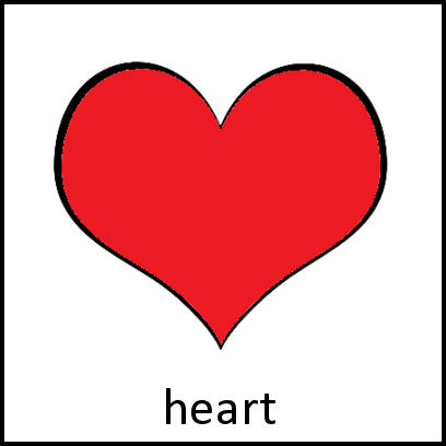 Heart